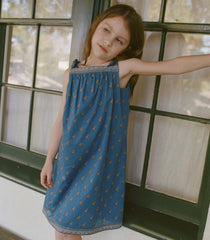 AMAIA DRESS -- EARTHA PAISLEY