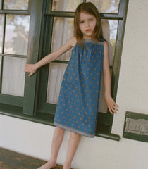AMAIA DRESS -- EARTHA PAISLEY