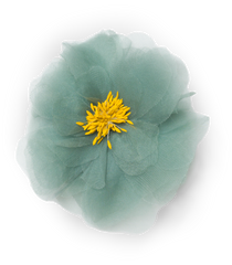DANI BARRETTE -- TEAL ORGANZA