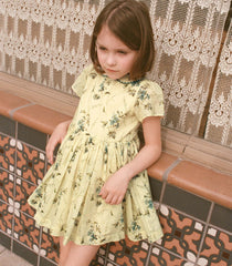 DUA DRESS -- SUNSHINE PRAIRIE ROSE